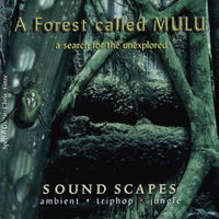 A Forest Called Mulu Mp3