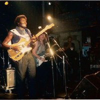 Albert Collins and the Icebreakers Mp3