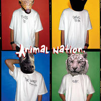 Animal Nation Mp3