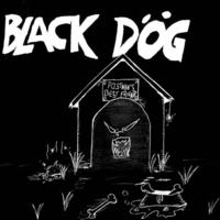 The Black Dog Mp3
