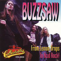 Buzzsaw Mp3