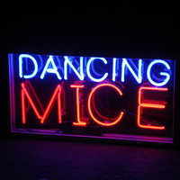 Dancing Mice Mp3