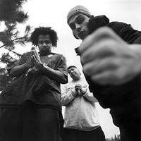 Dilated Peoples Mp3