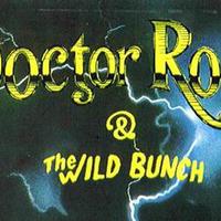Doctor Rock And The Wild Bunch Mp3