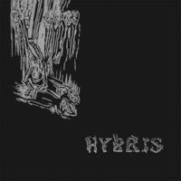 Hybris Mp3
