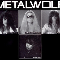 Metalwolf Mp3