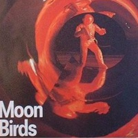 Moon Birds Mp3