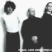 Peace, Love & Pitbulls Mp3
