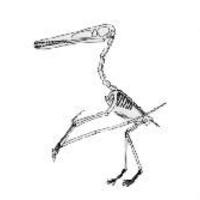 pteranodon Mp3