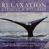 Relaxation: Harmony & Wellness Mp3