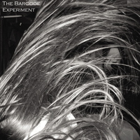 The Barcode Experiment Mp3