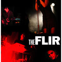 The FLIR Mp3