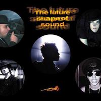 The Future Shape Of Sound Mp3