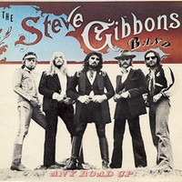 The Steve Gibbons Band Mp3