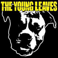 The Young Leaves Mp3