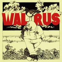 Walrus Mp3