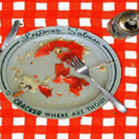 Cracker And Leftover Salmon Mp3