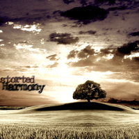 Distorted Harmony Mp3