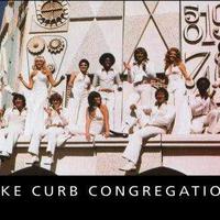 Mike Curb Congregation Mp3