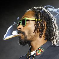 Snoop Lion Mp3