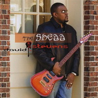 David P Stevens Mp3