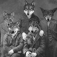 The Republic Of Wolves Mp3