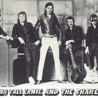 Long Tall Ernie & The Shakers Mp3