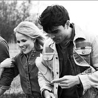 The Common Linnets Mp3