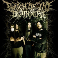 Twitch Of The Death Nerve Mp3