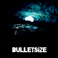 Bulletsize Mp3