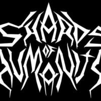 Shards Of Humanity Mp3