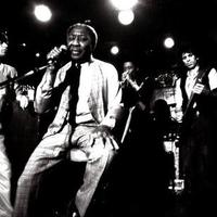 Muddy Waters & The Rolling Stones Mp3