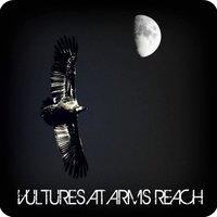 Vultures At Arms Reach Mp3