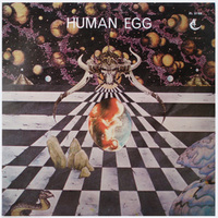 Human Egg Mp3