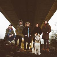 Zefur Wolves Mp3