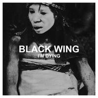 Black Wing Mp3