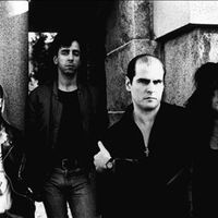 The Flesh Eaters Mp3