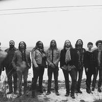 The Magpie Salute Mp3