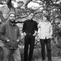 The Woods Mp3