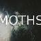 Moths Mp3
