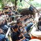 Thai Elephant Orchestra Mp3