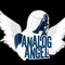 Analog Angel Mp3