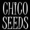 Chico Seeds Mp3