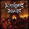 Napier's Bones Mp3