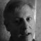 David Finck Mp3
