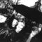 The Wild Flowers Mp3